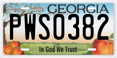 GA license plate PWS0382