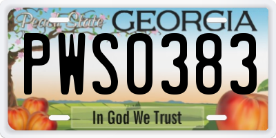 GA license plate PWS0383