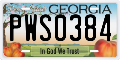 GA license plate PWS0384