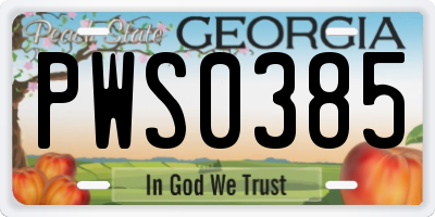 GA license plate PWS0385