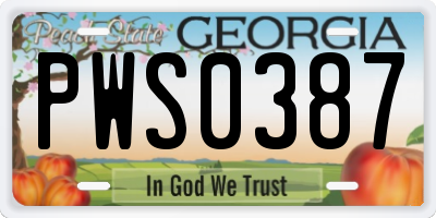 GA license plate PWS0387