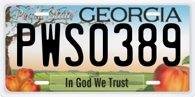 GA license plate PWS0389