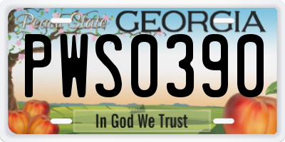 GA license plate PWS0390