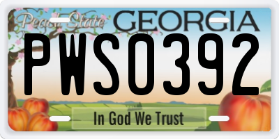 GA license plate PWS0392