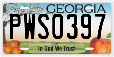 GA license plate PWS0397