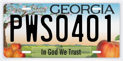 GA license plate PWS0401