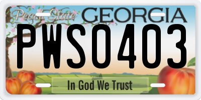 GA license plate PWS0403