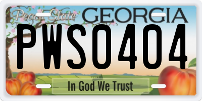 GA license plate PWS0404