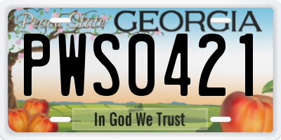 GA license plate PWS0421