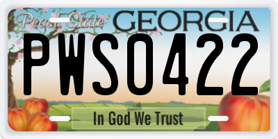 GA license plate PWS0422