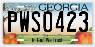GA license plate PWS0423