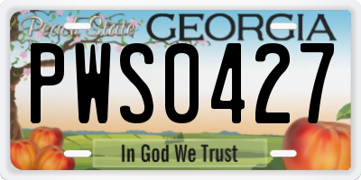 GA license plate PWS0427