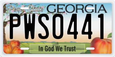 GA license plate PWS0441