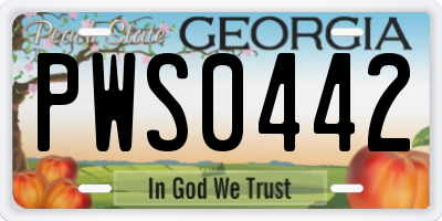 GA license plate PWS0442