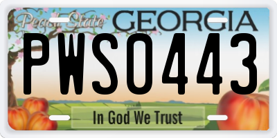 GA license plate PWS0443