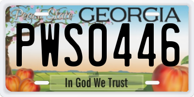 GA license plate PWS0446