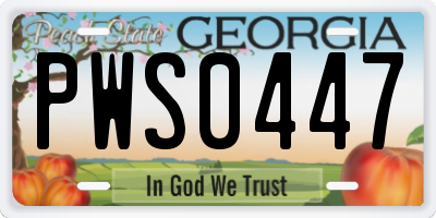 GA license plate PWS0447