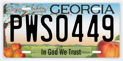 GA license plate PWS0449