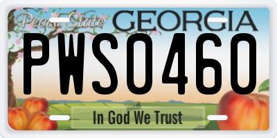 GA license plate PWS0460