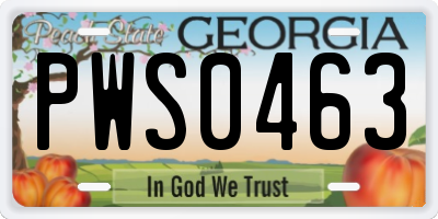 GA license plate PWS0463