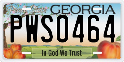 GA license plate PWS0464