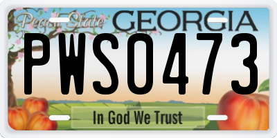 GA license plate PWS0473