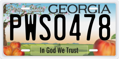 GA license plate PWS0478