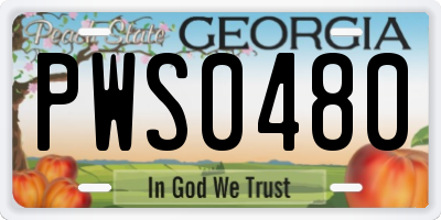 GA license plate PWS0480