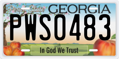 GA license plate PWS0483