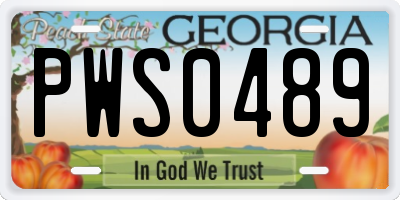 GA license plate PWS0489
