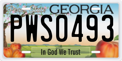GA license plate PWS0493