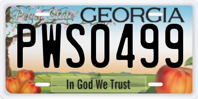 GA license plate PWS0499