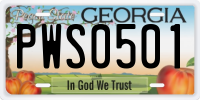 GA license plate PWS0501