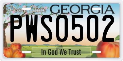GA license plate PWS0502