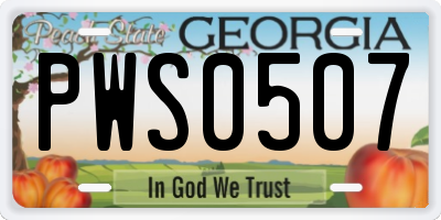 GA license plate PWS0507