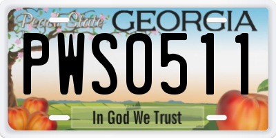 GA license plate PWS0511