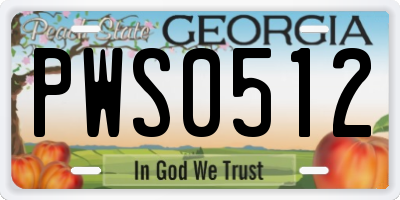 GA license plate PWS0512