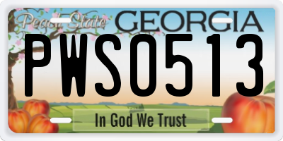GA license plate PWS0513