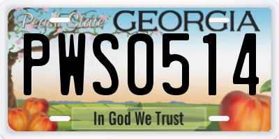 GA license plate PWS0514