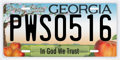 GA license plate PWS0516
