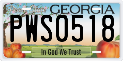 GA license plate PWS0518