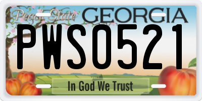 GA license plate PWS0521