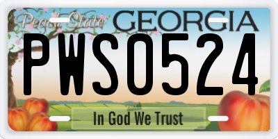GA license plate PWS0524