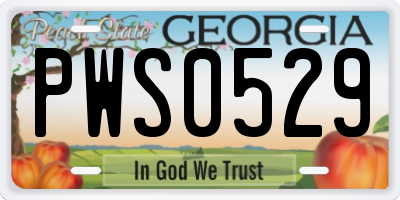 GA license plate PWS0529