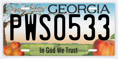 GA license plate PWS0533