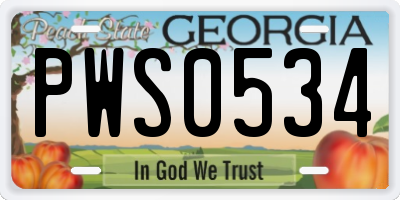 GA license plate PWS0534