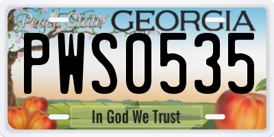 GA license plate PWS0535