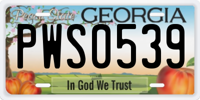 GA license plate PWS0539
