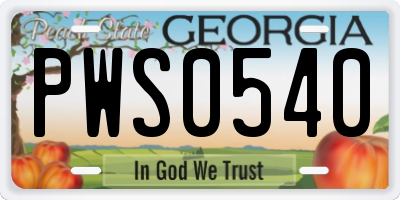 GA license plate PWS0540