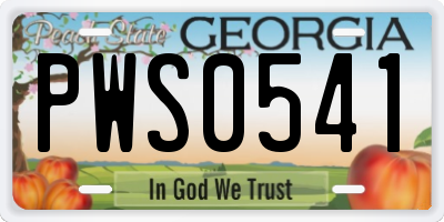 GA license plate PWS0541